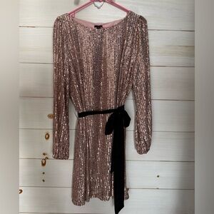 Ann Taylor Shimmering Long Sleeve Dress in Rose Gold and Black